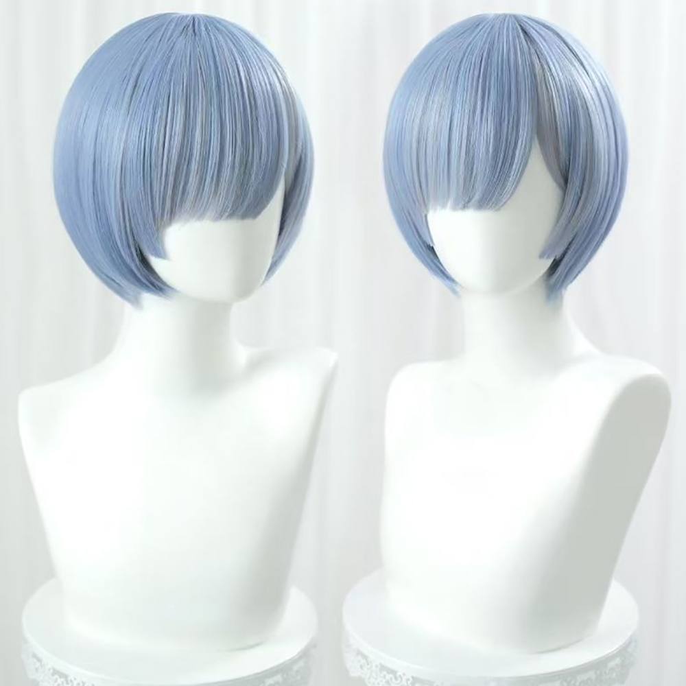 HAIRJOY Synthetische Haarperüc – Re Zero Rem Wig Bewertung und Preis