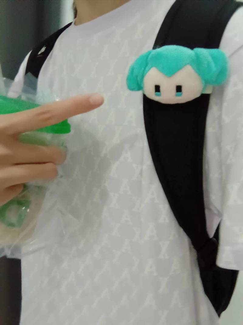 Neue süße Hatsune Miku Plüsch- – My Hero Academia Belt Bewertung und Preis